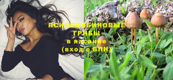 амф Алзамай