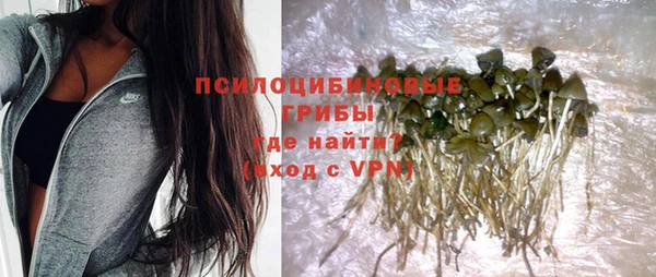 spice Абинск