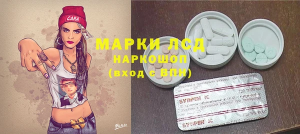 мет Алексин