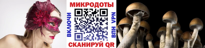 Галлюциногенные грибы мухоморы  Кинешма 